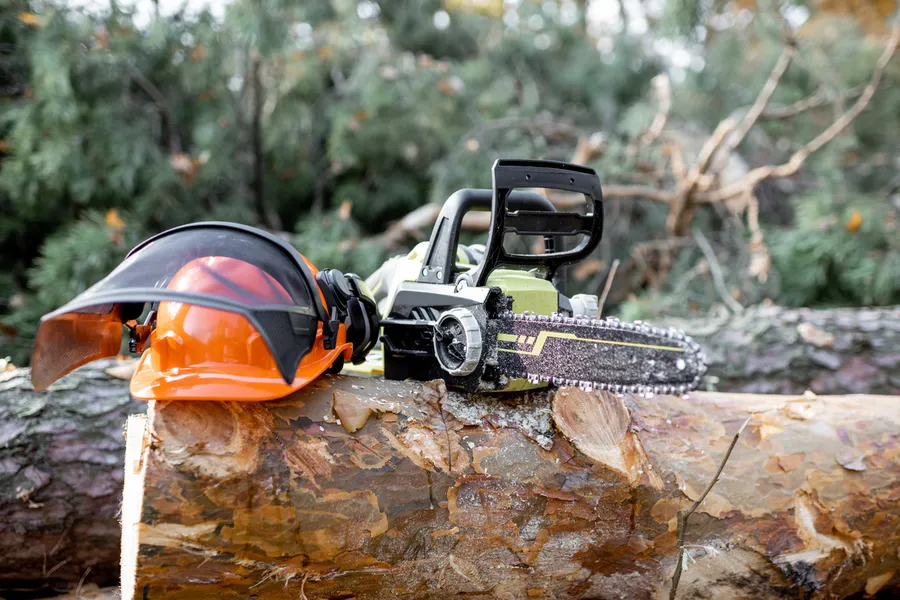 Tree Cutting