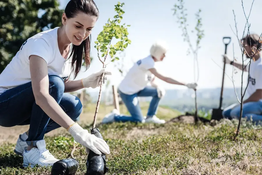 Tree Planting